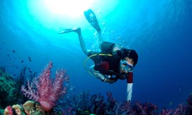 scuba diving at ko phi phi national park